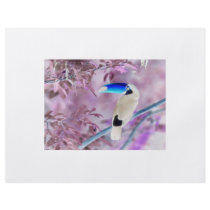 TOCO TOUCAN PHOTO COLOR NEGATIVE