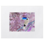 TOCO TOUCAN PHOTO COLOR NEGATIVE flyers