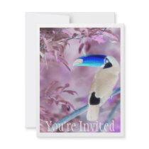 TOCO TOUCAN PHOTO COLOR NEGATIVE