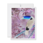 TOCO TOUCAN PHOTO COLOR NEGATIVE invitations