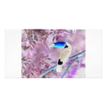 TOCO TOUCAN PHOTO COLOR NEGATIVE photo cards