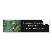 TOCO TOUCAN PHOTO FULL COLOR