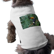 TOCO TOUCAN PHOTO FULL COLOR