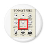 Today I Feel Neutral magnets