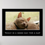 Today is a good day for a nap (L) posters