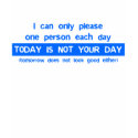 Today Is Not Your Day - Bad Day Funny Humour Comed t-shirts