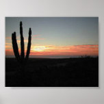 Todo Santos Cactus Sunset posters