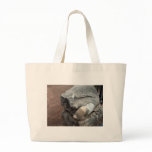 Toe of Statue in Roman Ruins Canvas Bags