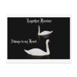 Together Forever Swans. Post Cards