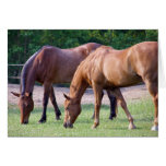 togetherness greeting card