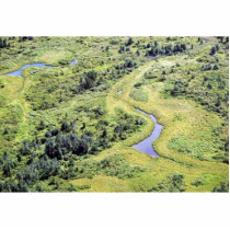 Togiak National Wildlife Refuge Cut Outs