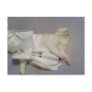 toilet paper play post cards