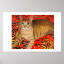 TOM POSTERS