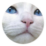 Tom Sticker