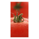 Tomato Photocard