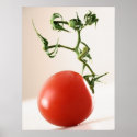 Tomato posters