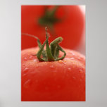 Tomato Print