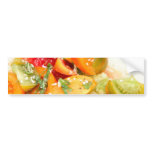 Tomato Salad bumper stickers