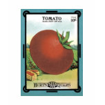 Tomato Seed Packet - Burt's Seeds t-shirts