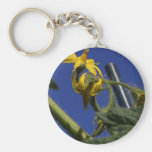 Tomatoes Blossoms Flowers Key Chain