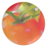 Tomatoes Close Up Dinner Plate