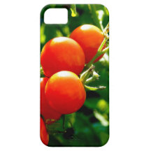 Tomatoes on a Vine iPhone 5 Cover
