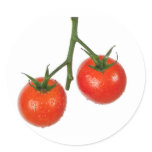 Tomatoes on a vine round stickers