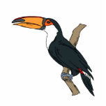 Tomino Toucan photo sculptures