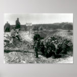 Tommies Posters
