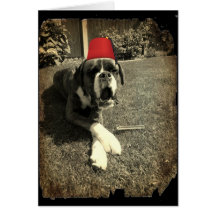 Tommy Cooper Boxer Dog Greeting Cards