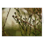 Tomorrow's Flowers Greeting Card