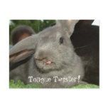 Tongue Twister! | Postcard