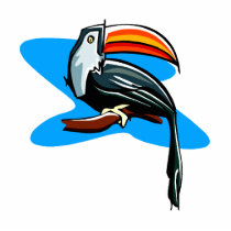 Tonikka Toucan
