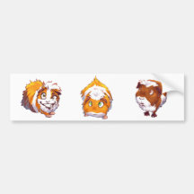 Too Curious Guinea Pig Bumper Sticker