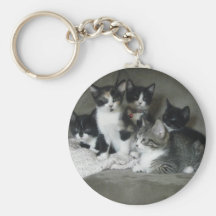 Too Cute Kittens Key Chains