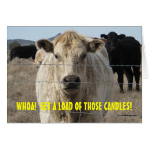 Too Many Candles Funny OTH Happy Birthday Card