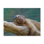 Too Tired to Play Postcard