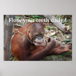Tooth Care Floss poster posters