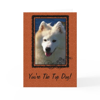 Top Dog Greeting Cards by ironydesignphotos