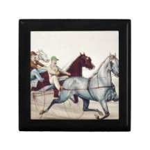 TOP Harness Racing Jewelry Box