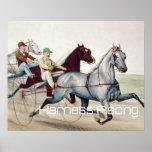 TOP Harness Racing Posters