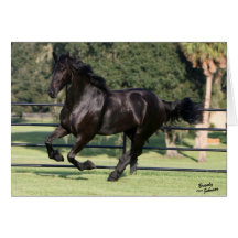 Top Hat Friesians Card