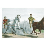 TOP Horse Poetry business cards