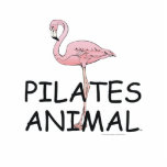 TOP Pilates Animal photo sculptures