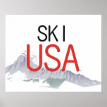 TOP Ski USA Poster