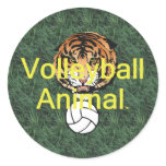 TOP Volleyball Animal stickers