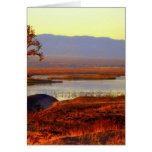 Topock Bay, Arizona Cards