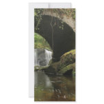Torc Bridge rack cards