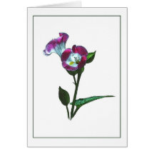 Torenia Blossom Botanical Note Card