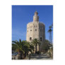 Torre Del Oro Postcards